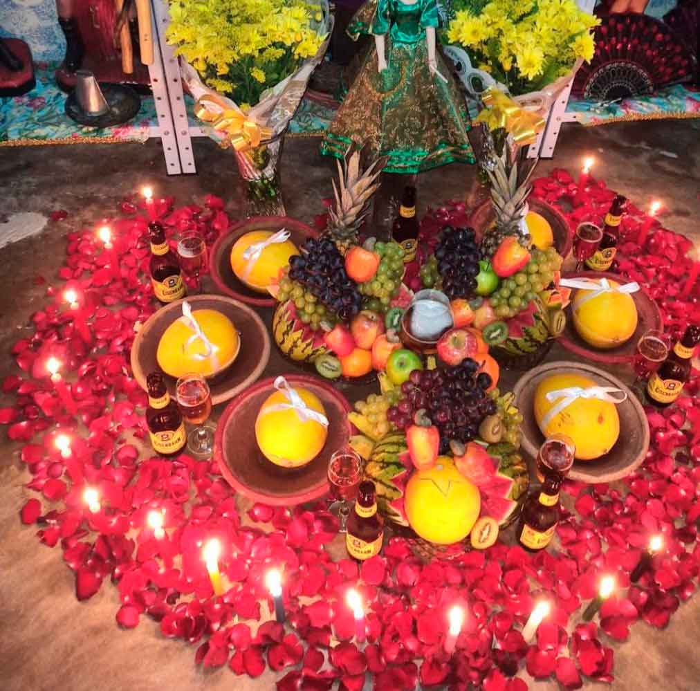 Corto todo tipo de daños